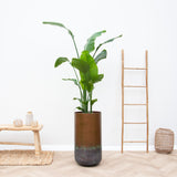 Product afbeelding 1