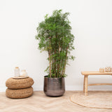Product afbeelding 1