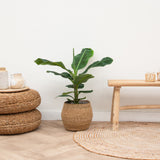 Product afbeelding 2