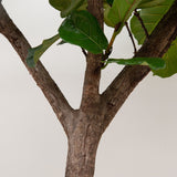 Product afbeelding 2