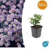 Product afbeelding 9
