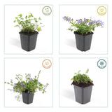 Product afbeelding 4