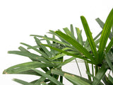 Product afbeelding 2