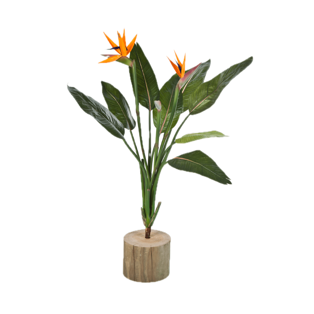 Strelitzia Reginae Kunstpflanze | 100 cm