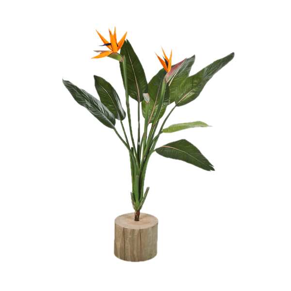 Strelitzia Reginae Kunstplant - 100 cm