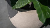 Product afbeelding 5