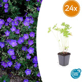 Product afbeelding 8