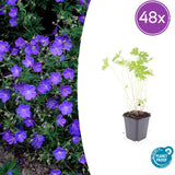 Product afbeelding 9