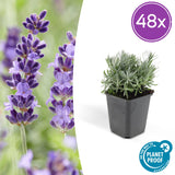 Product afbeelding 10