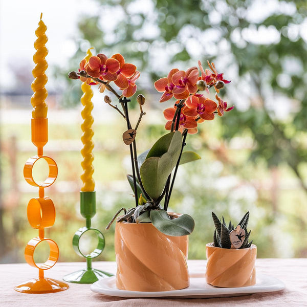 Combi deal - Candy peach inclusief sierpotten op dienblad