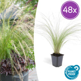 Product afbeelding 8