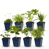 Product afbeelding 2