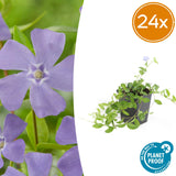 Product afbeelding 7