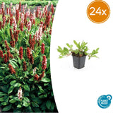 Product afbeelding 7