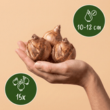 Product afbeelding 3