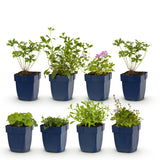 Product afbeelding 2