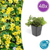 Product afbeelding 7