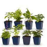 Product afbeelding 2