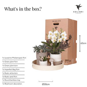 Combi deal - Slow Living inclusief keramieken sierpotten en accesoires
