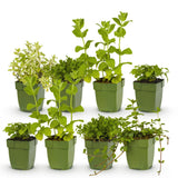 Product afbeelding 2