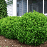 Product afbeelding 12