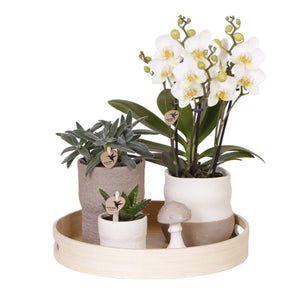 Combi deal - Slow Living inclusief keramieken sierpotten en accesoires