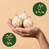 Product afbeelding 3