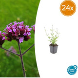 Product afbeelding 8