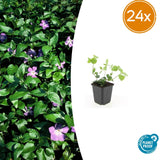 Product afbeelding 8