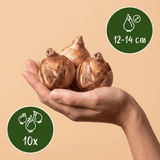Product afbeelding 3