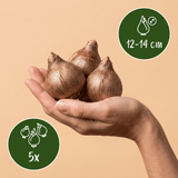Product afbeelding 3