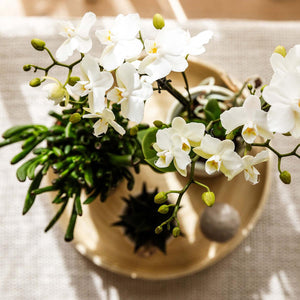 Combi deal - Slow Living inclusief keramieken sierpotten en accesoires