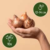 Product afbeelding 3