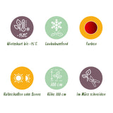 Product afbeelding 5