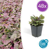 Product afbeelding 9