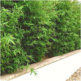 Product afbeelding 4