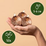 Product afbeelding 3