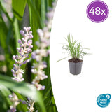 Product afbeelding 8