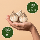 Product afbeelding 3