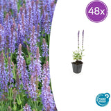 Product afbeelding 9
