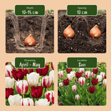 Product afbeelding 4