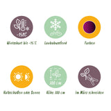 Product afbeelding 5