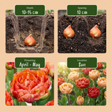 Product afbeelding 4