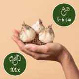 Product afbeelding 3
