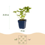 Product afbeelding 3