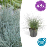 Product afbeelding 9
