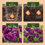 Product afbeelding 4