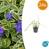Product afbeelding 7