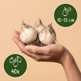 Product afbeelding 3