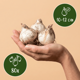 Product afbeelding 3